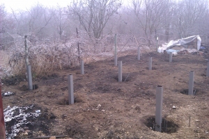 ���� ������������� �� ��� �������